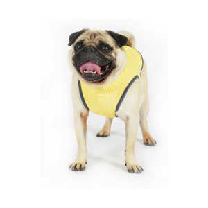 Kühlweste für Hunde