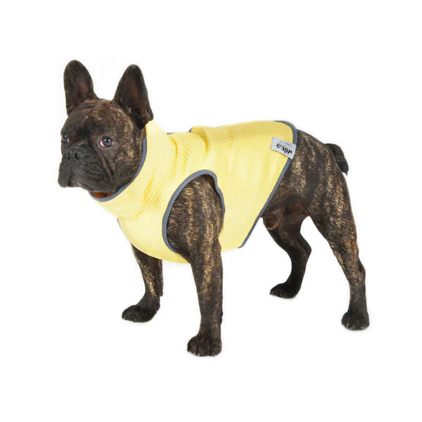 Kühlweste für Hunde