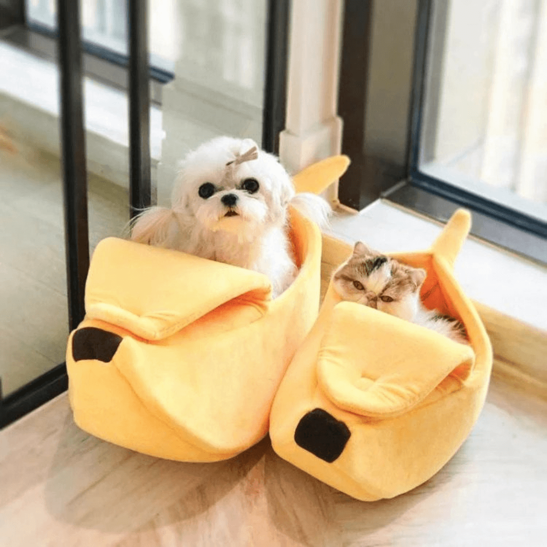 Gemütliches Bananen Bett