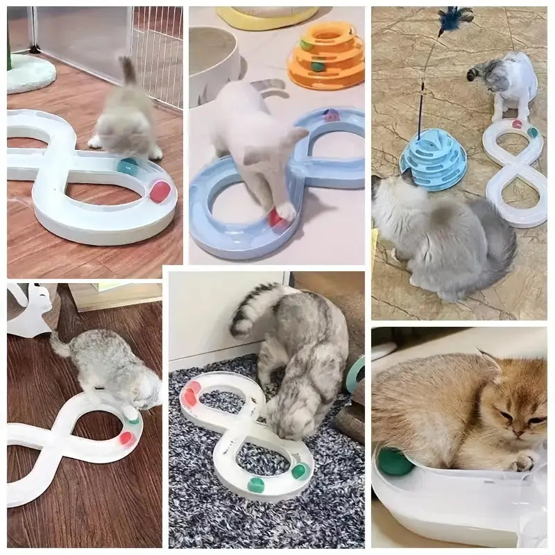 Endloser Katzenspielspaß