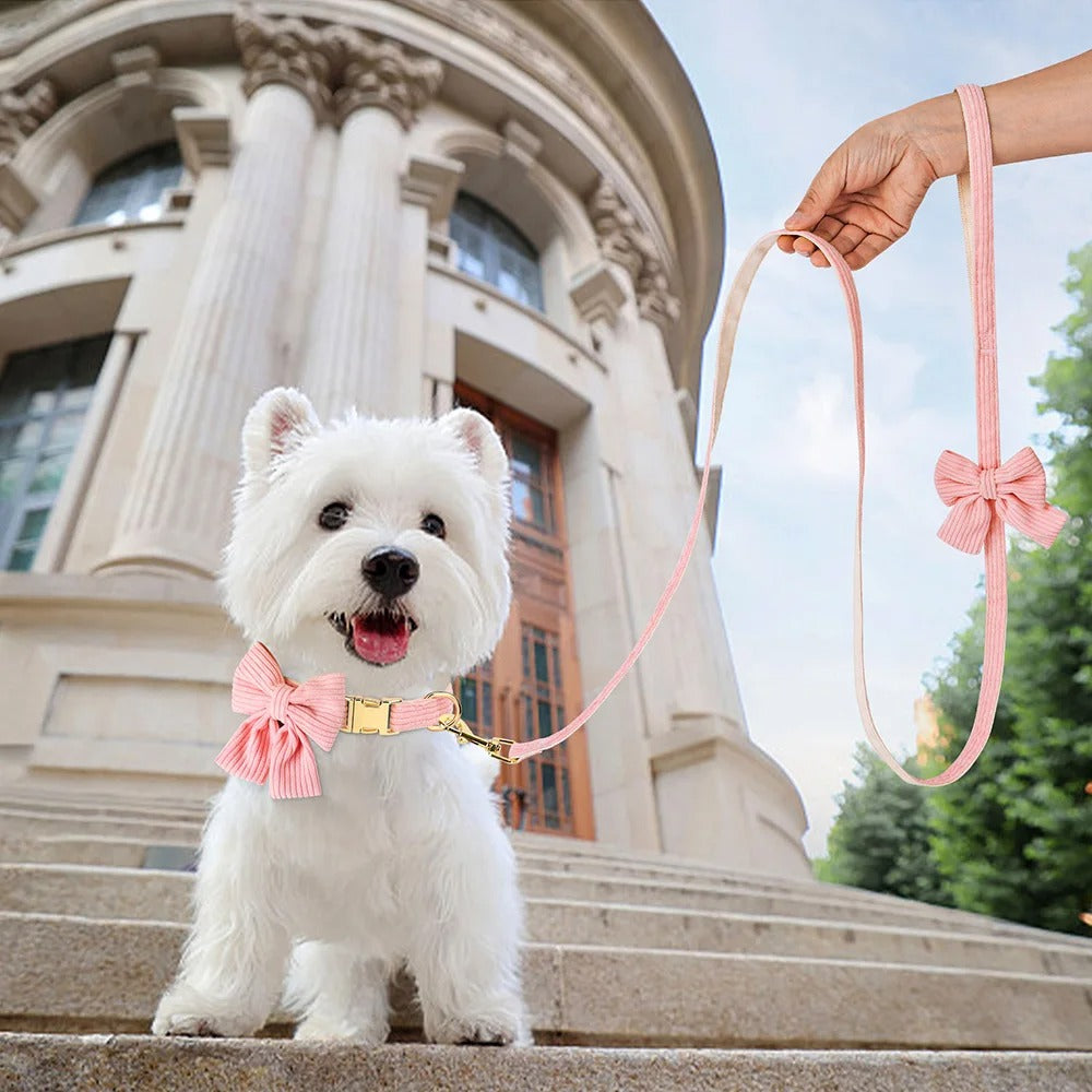Hundehalsband mit Schleife