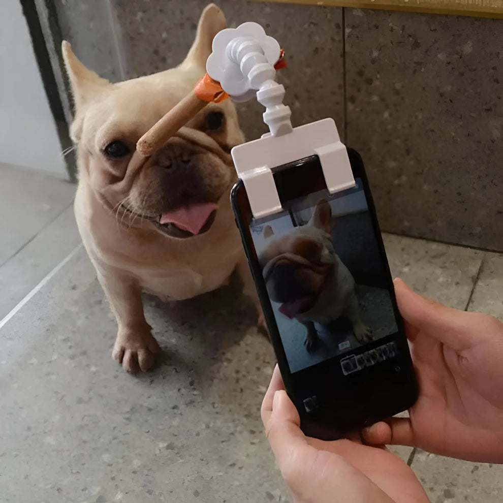 Hauteir Selfie-Stick