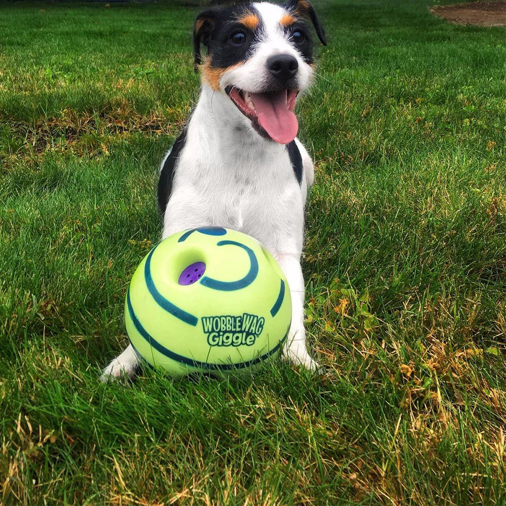 Interaktiver Spielball für Hunde
