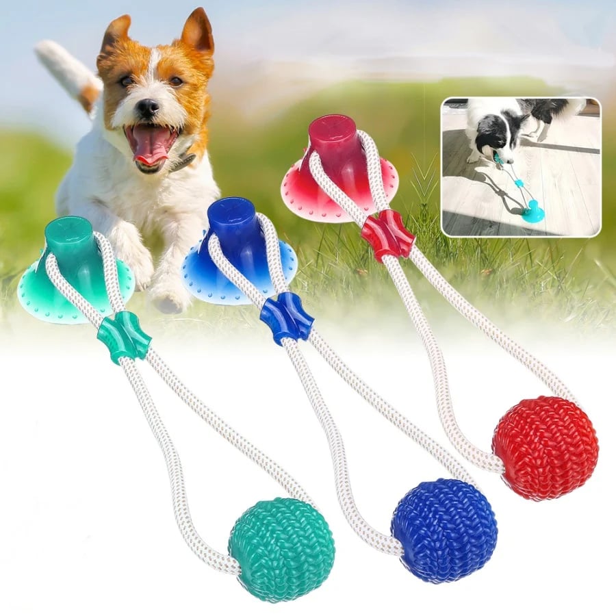 BiteBuddy - Extremes Beiß-Spielzeug für Hunde
