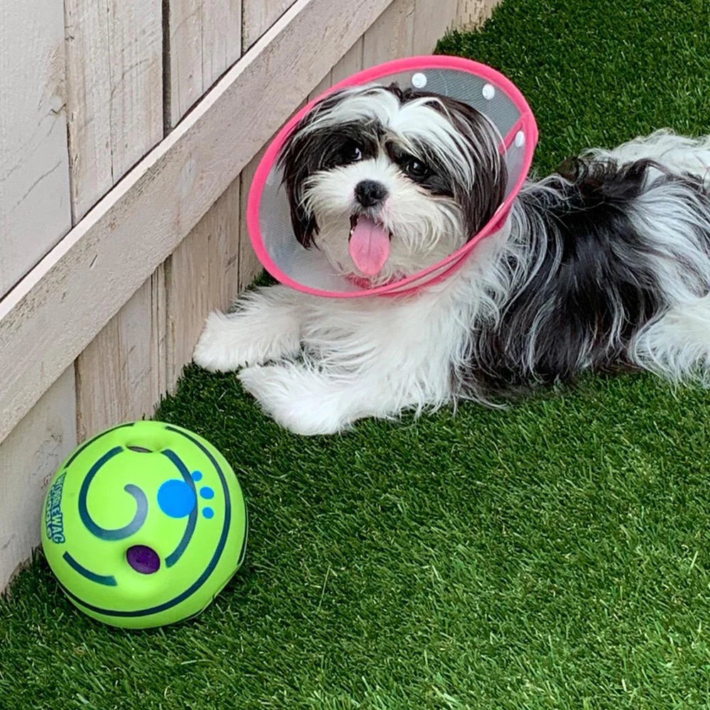 Interaktiver Spielball für Hunde