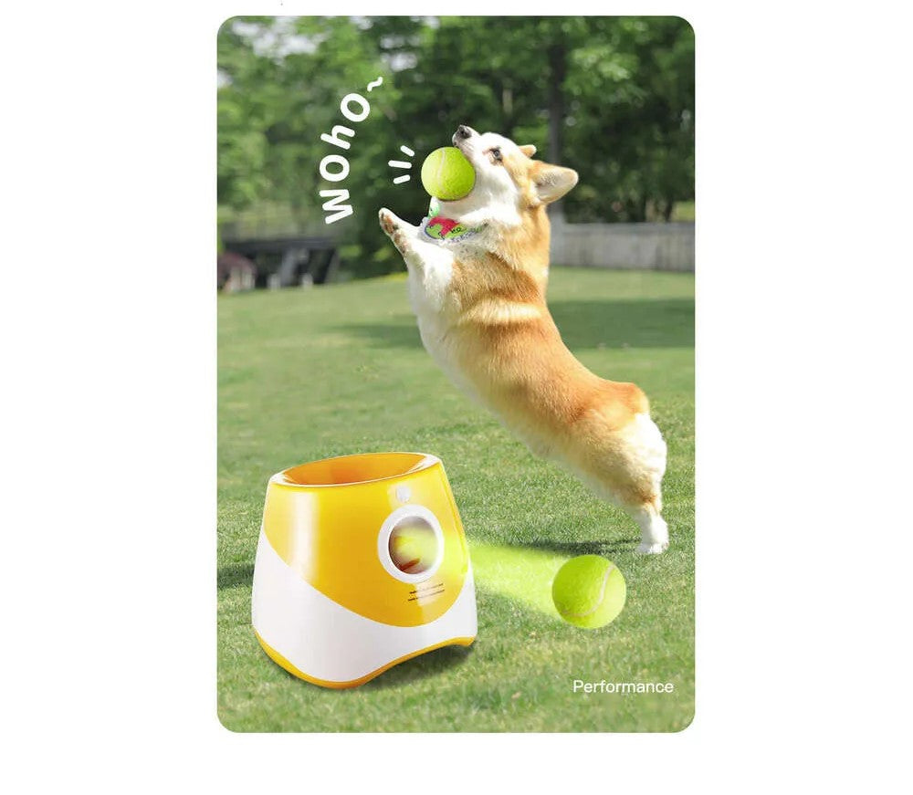 Automatische Hunde Ballwurf Maschine