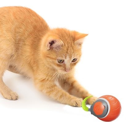 Interaktiver Jagdball