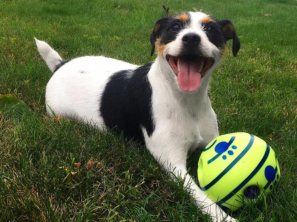 Interaktiver Spielball für Hunde