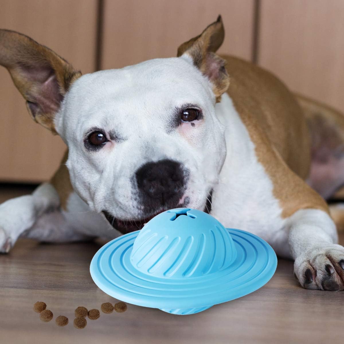Hunde Frisbee mit Leckerli Spender