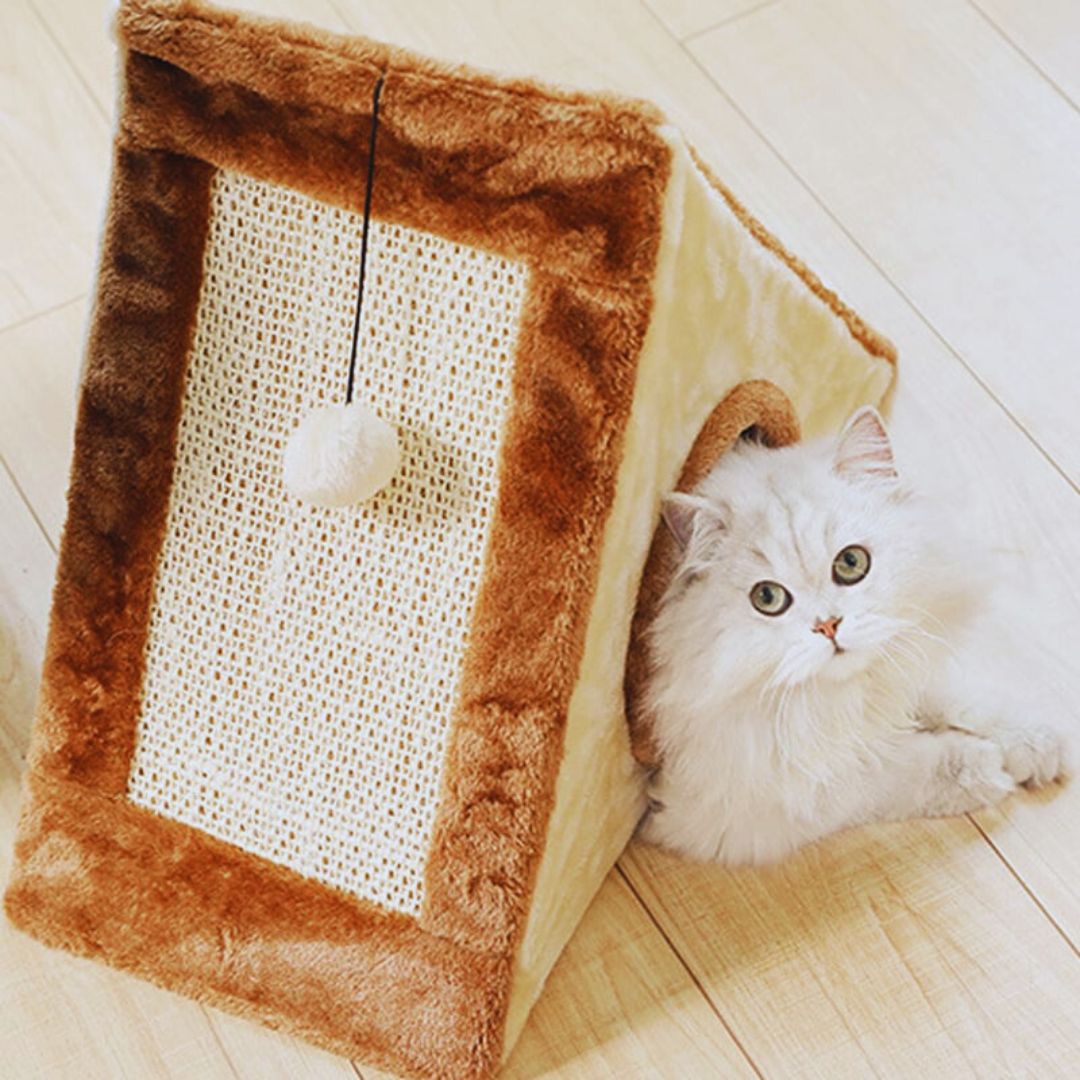 Kratzhaus für Katzen