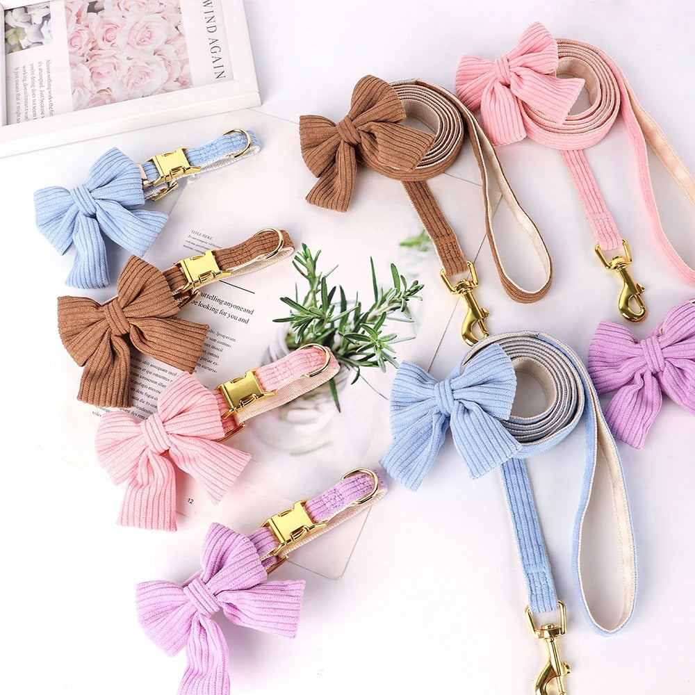 Hundehalsband mit Schleife