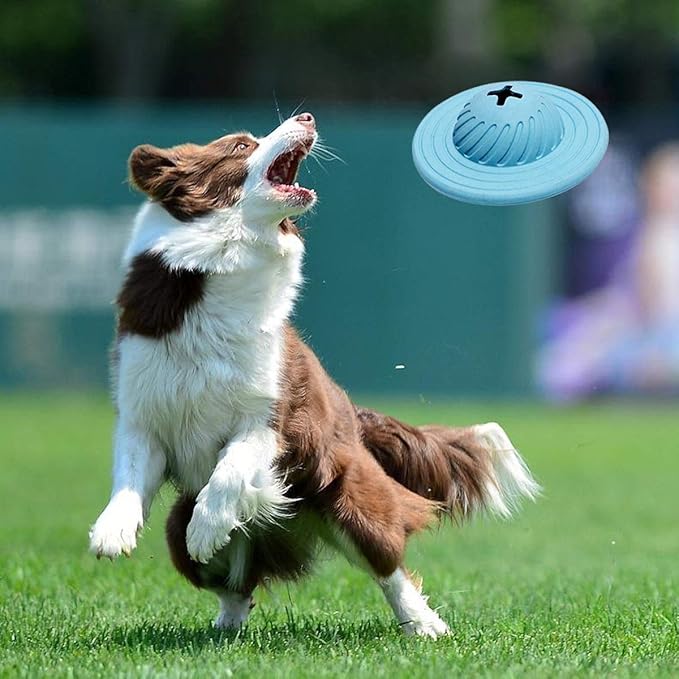 Hunde Frisbee mit Leckerli Spender