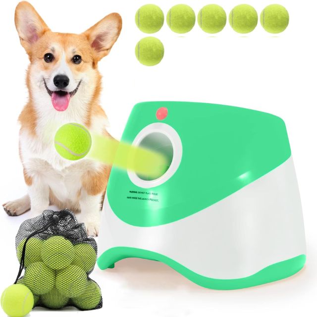 Automatische Hunde Ballwurf Maschine