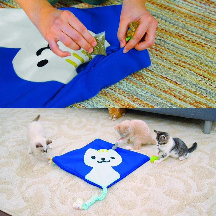 Interaktive Spielmatte mit Katzenminze
