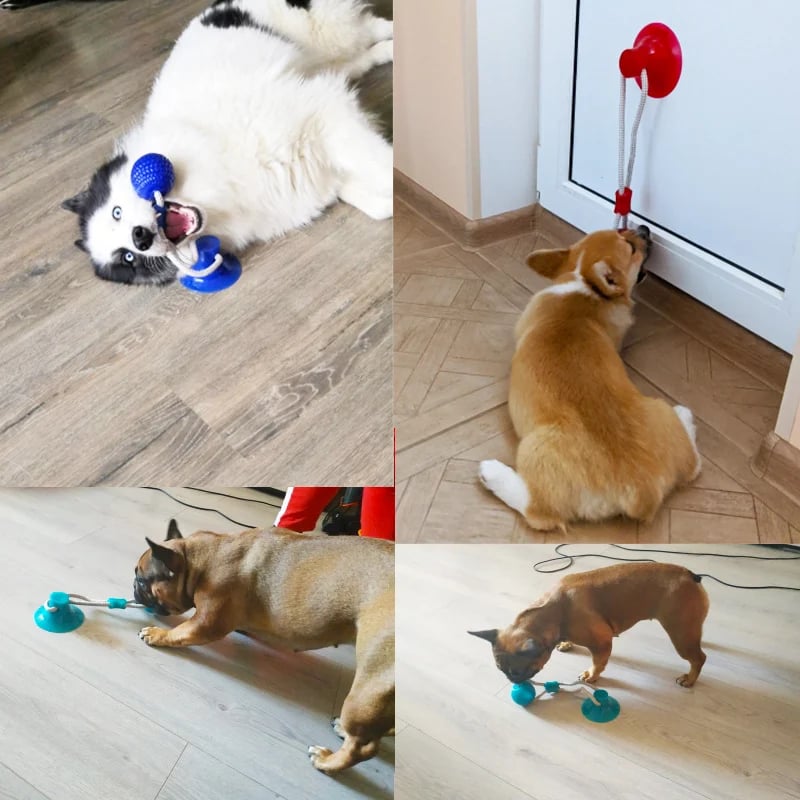 BiteBuddy - Extremes Beiß-Spielzeug für Hunde