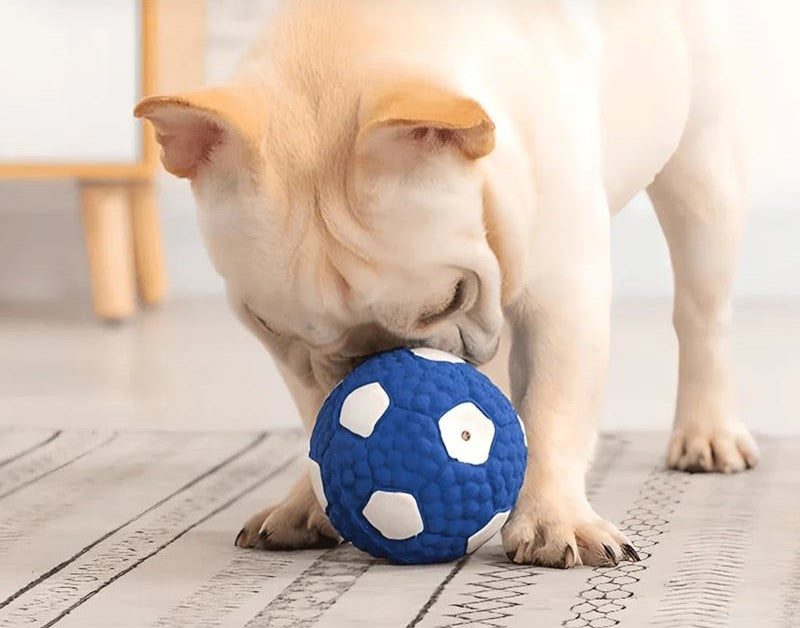 Hunde SommerBall - Outdoor Kauspaß mit Unzerstörbällen