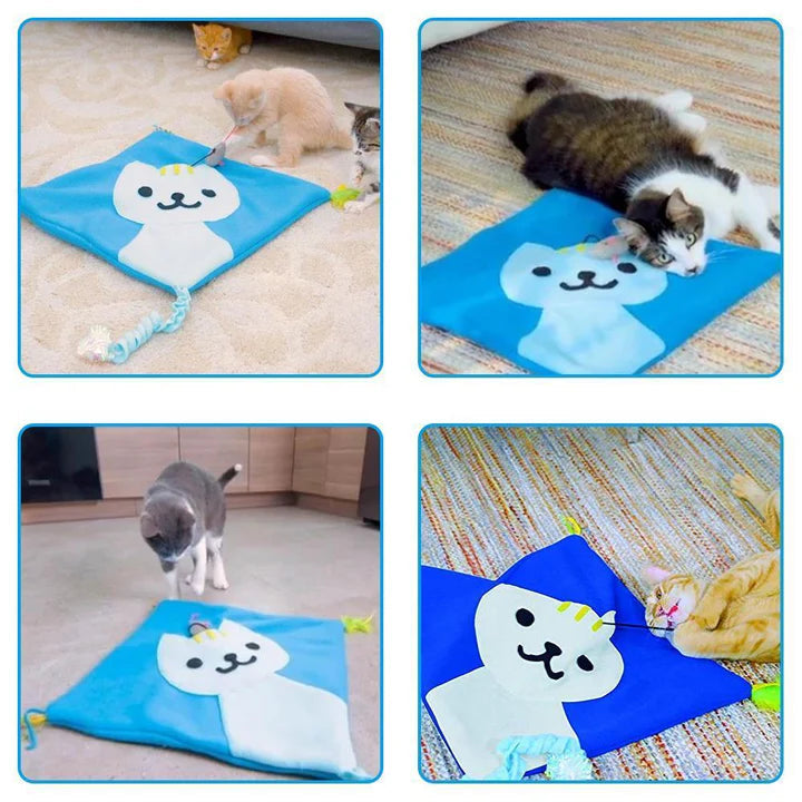Interaktive Spielmatte mit Katzenminze