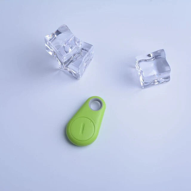 GPS Haustier Tracker