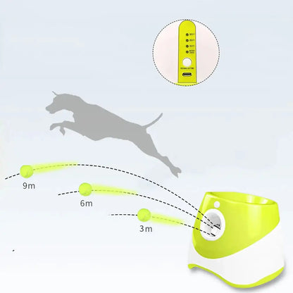 Automatische Hunde Ballwurf Maschine