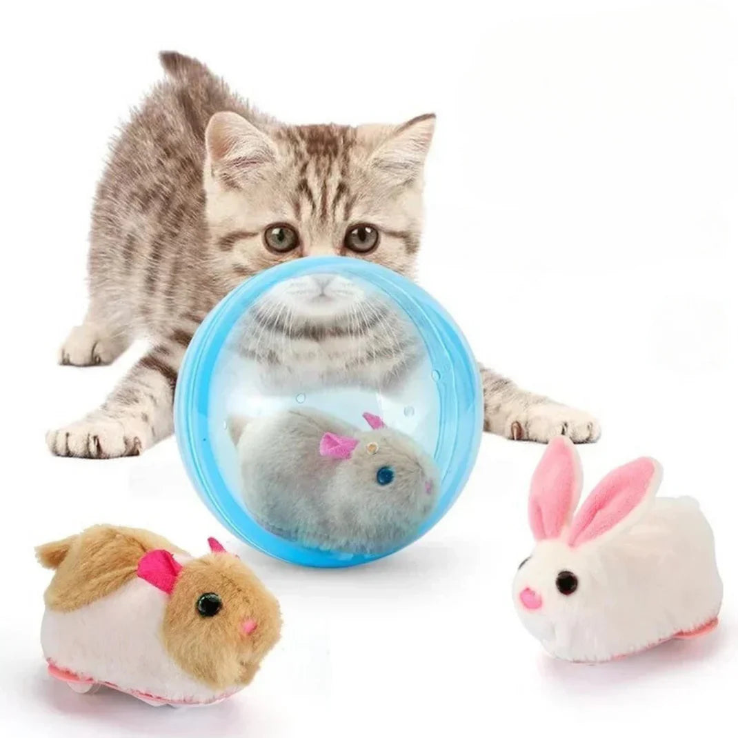 Rollender Hamster Spielzeug für Katzen