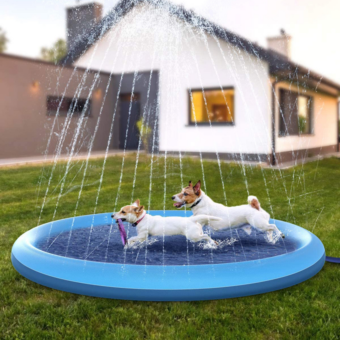Erfrischende Hundesprinkleranlage