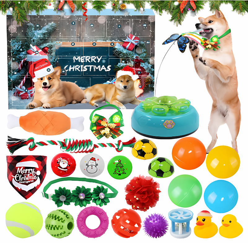 Pfotenglück - Adventskalender für Hunde & Katzen