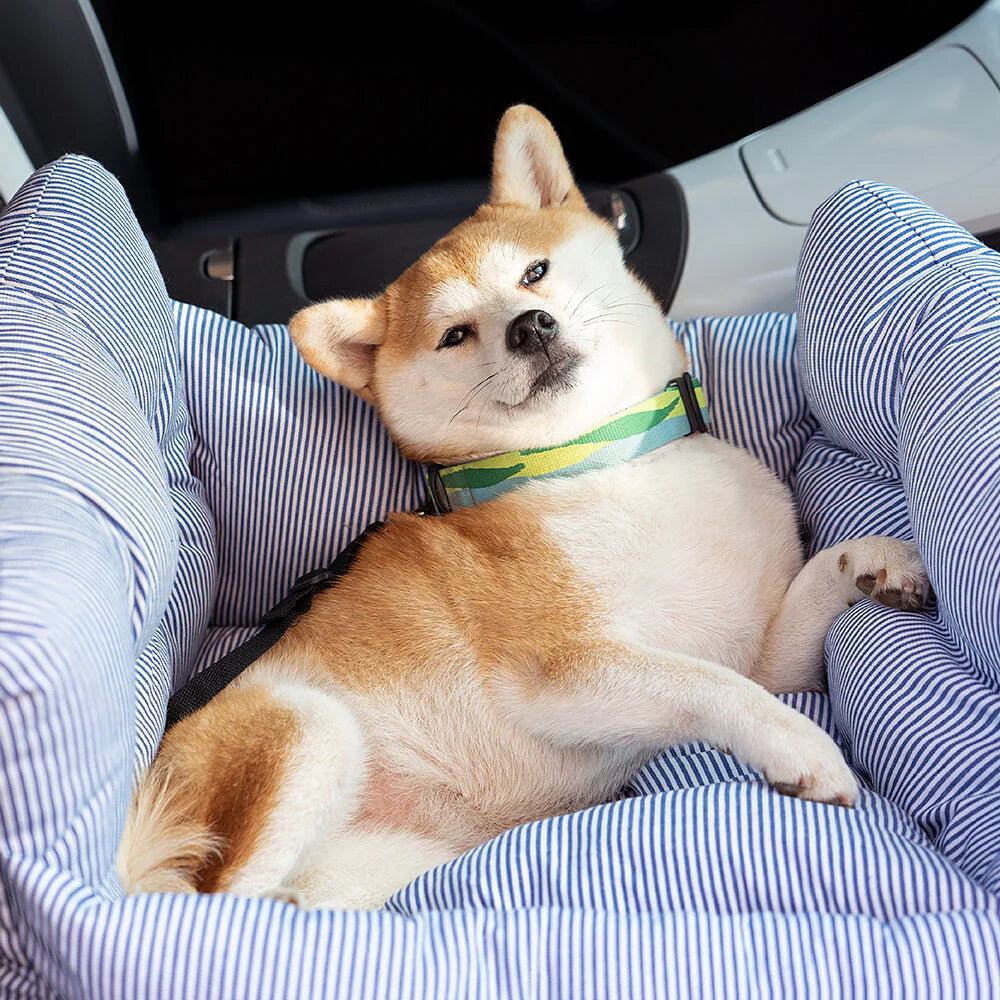 Bequemes 2-in-1 Hundebett