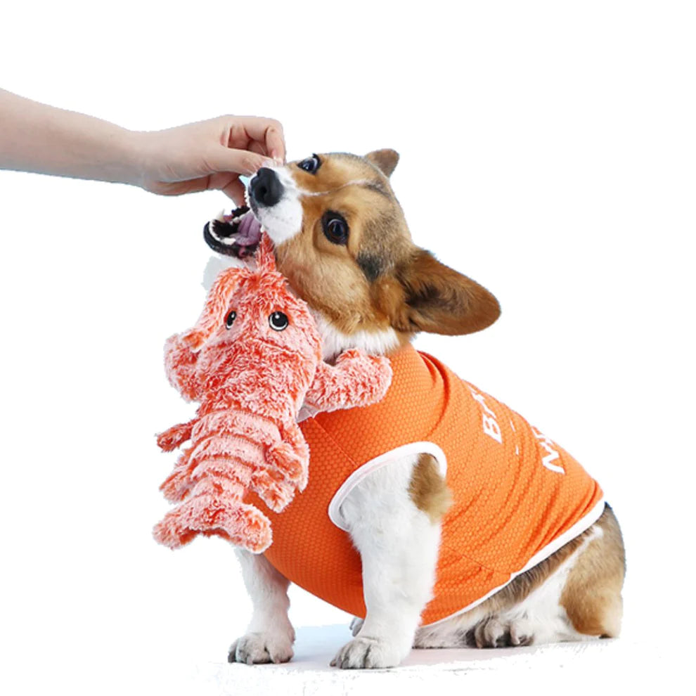 Interaktives Hummer Hundespielzeug