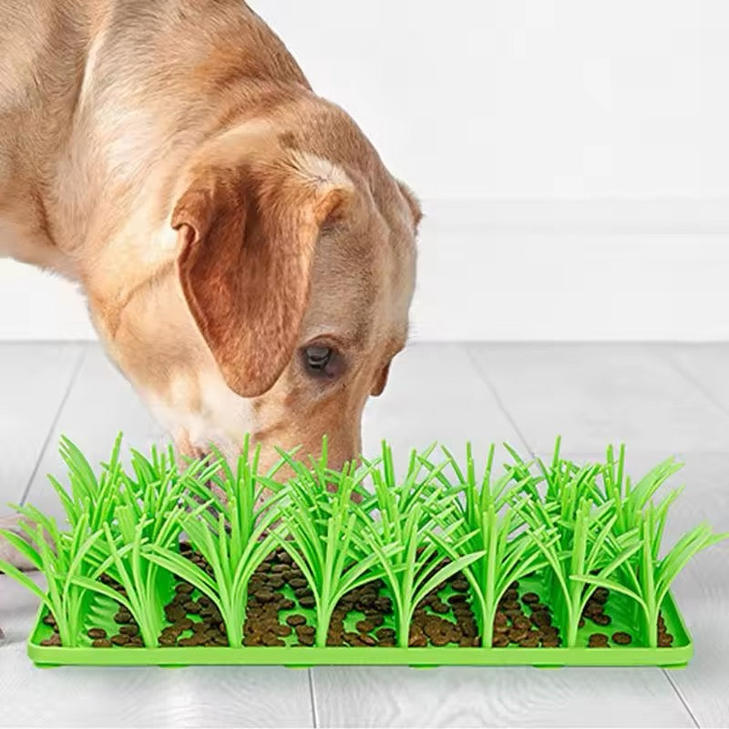 Hunde Leckerli-Wiese