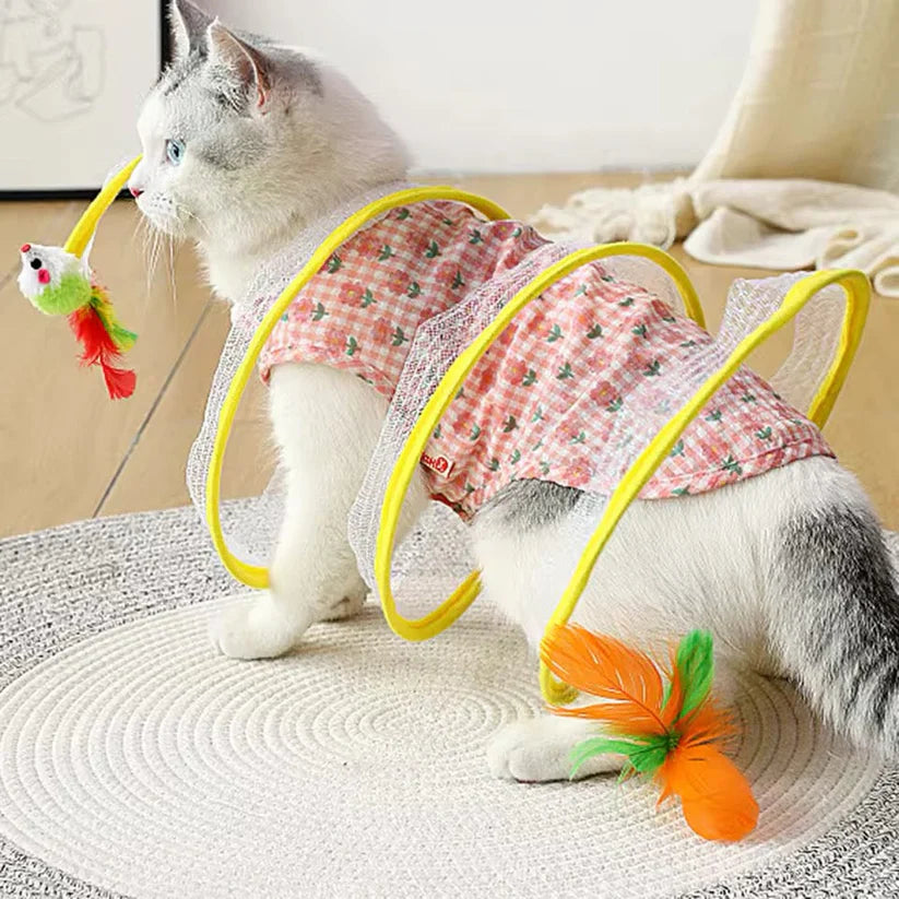 Interaktive Katzenspirale