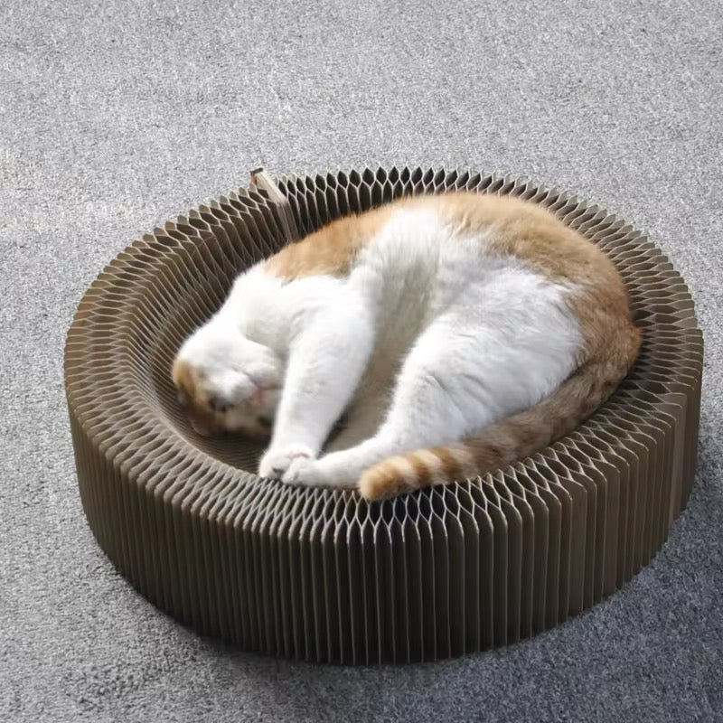 2-in-1 Spiel und Kratzbett für Katzen