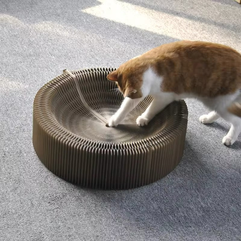 2-in-1 Spiel und Kratzbett für Katzen