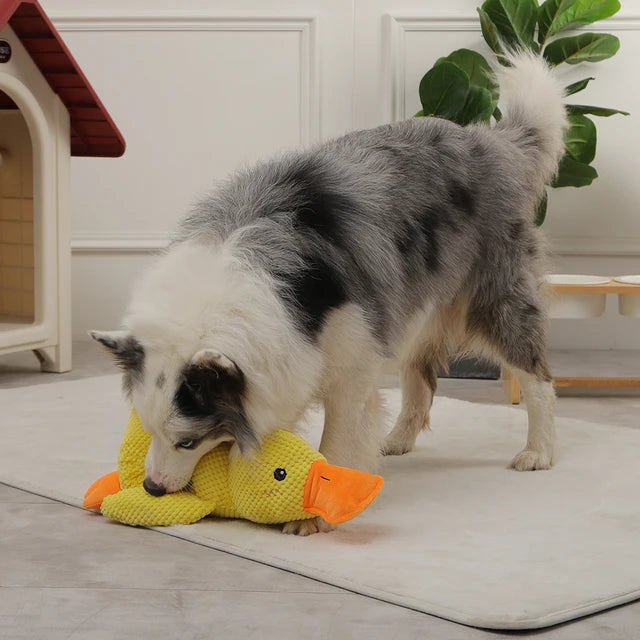 Anti-Stress Quak Ente für Hunde