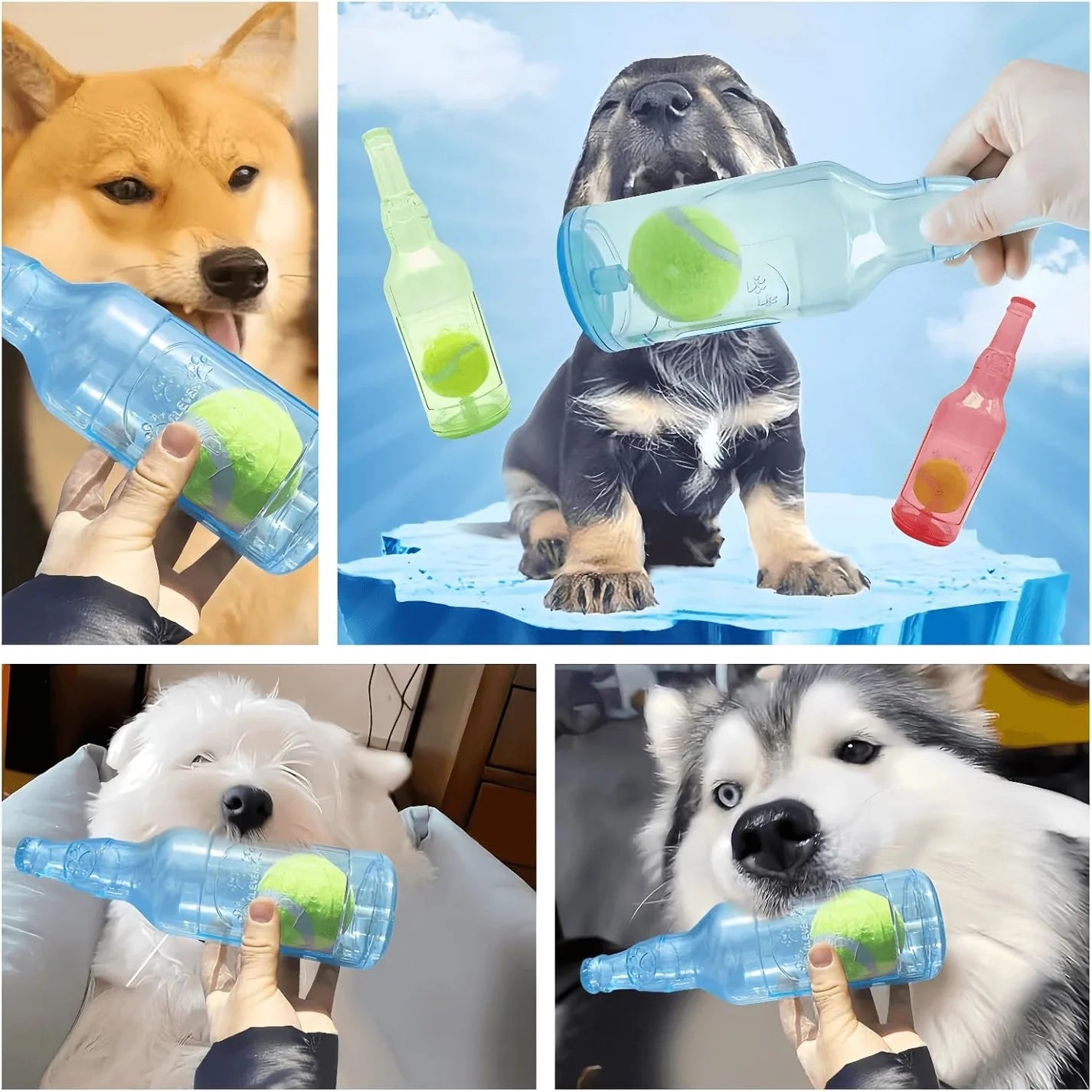 Robuste Hunde Kau Flasche