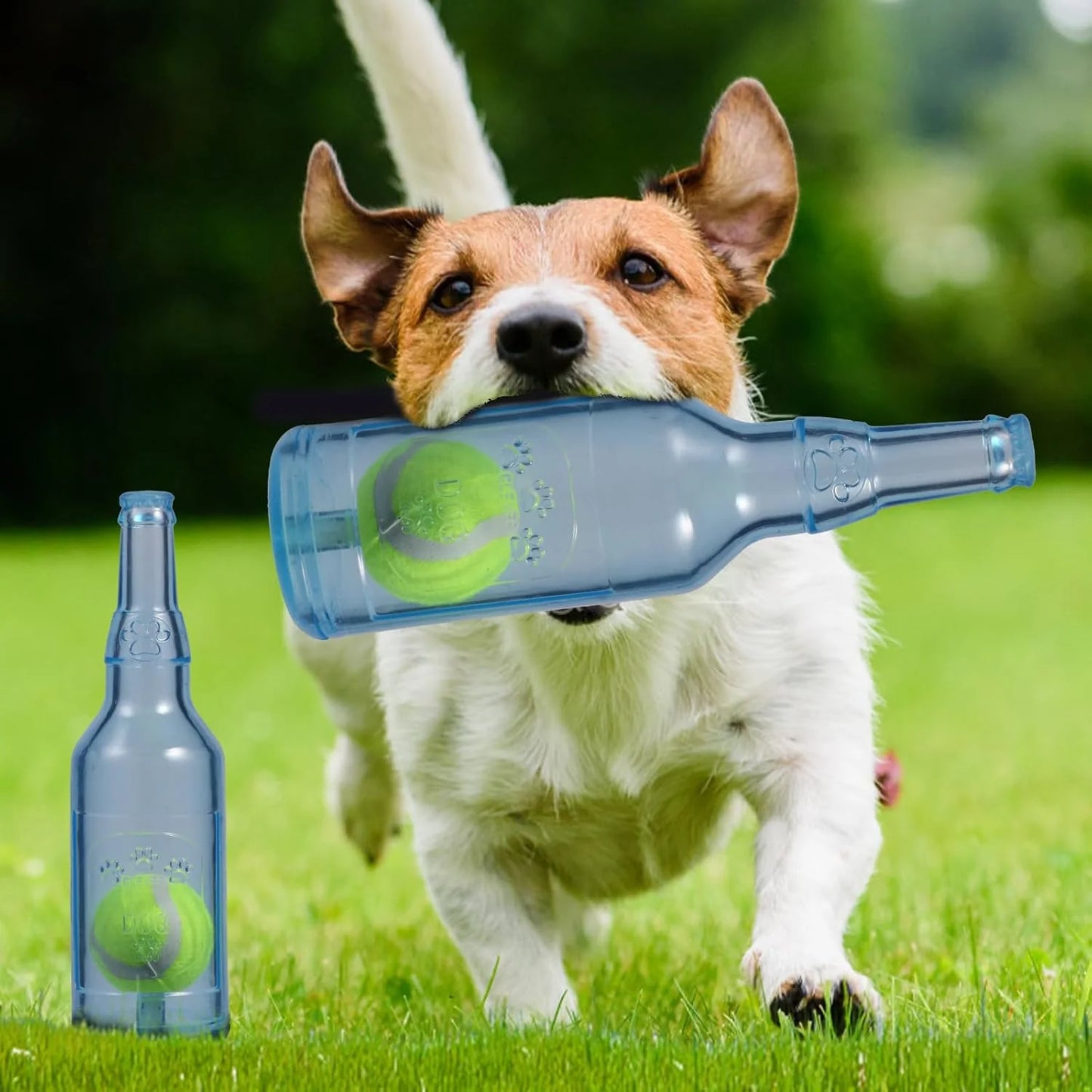 Robuste Hunde Kau Flasche
