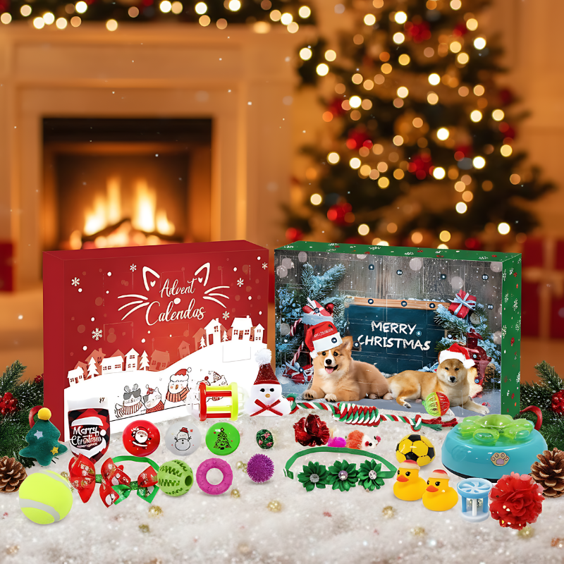 Pfotenglück - Adventskalender für Hunde & Katzen