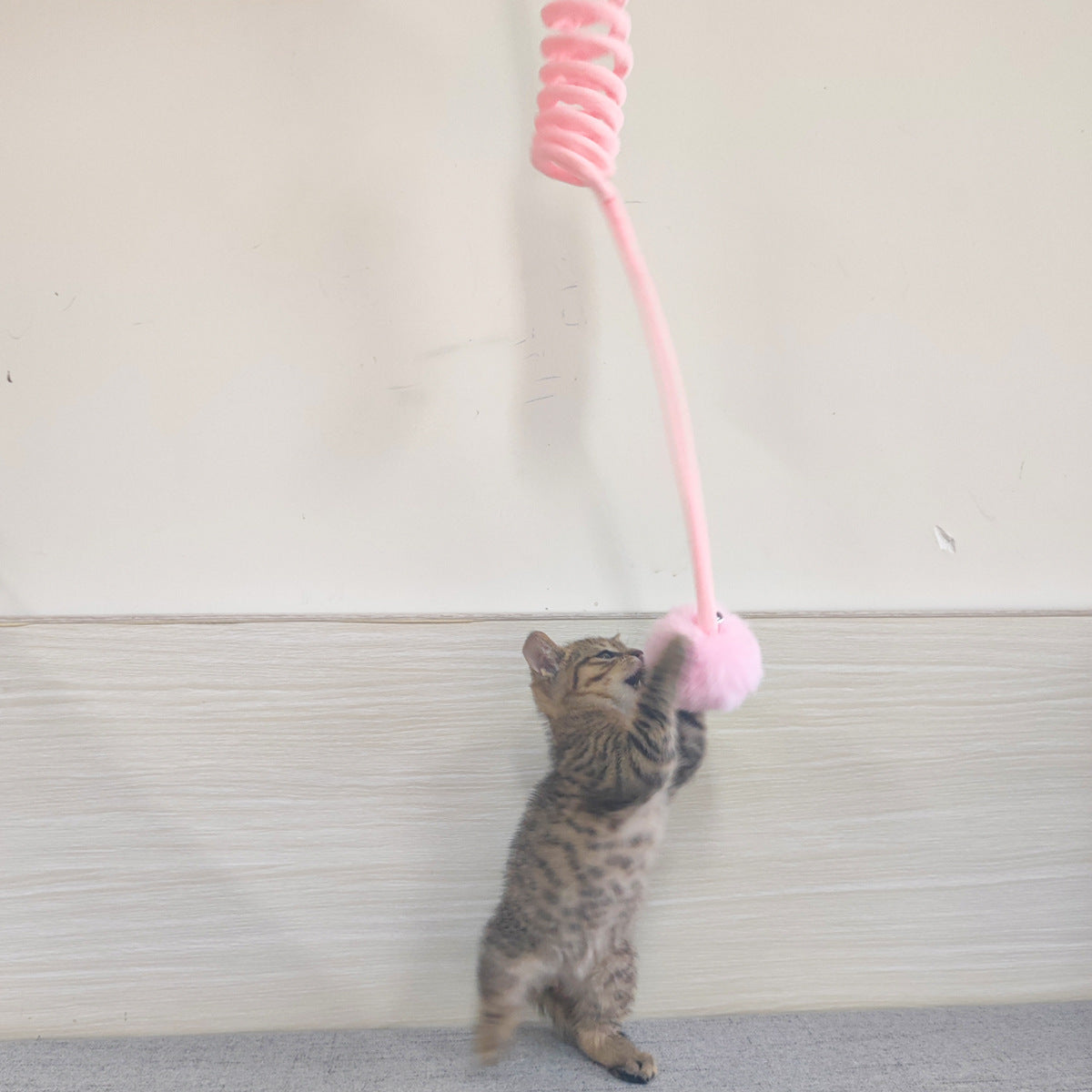 Interaktives Spiralspiezeug für Katzen
