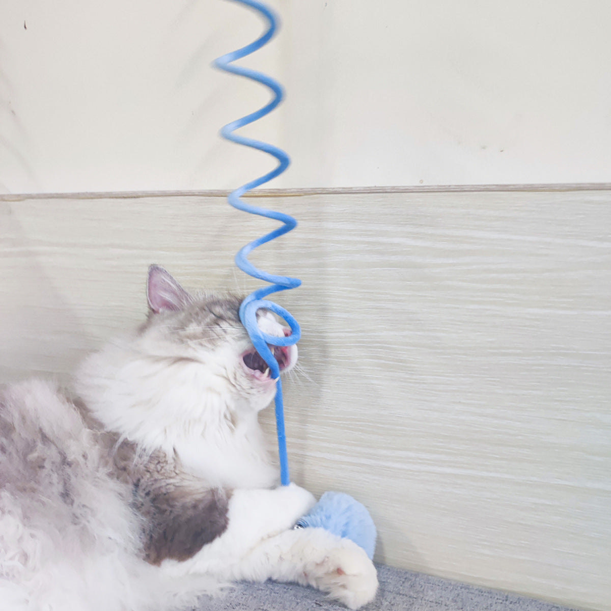 Interaktives Spiralspiezeug für Katzen