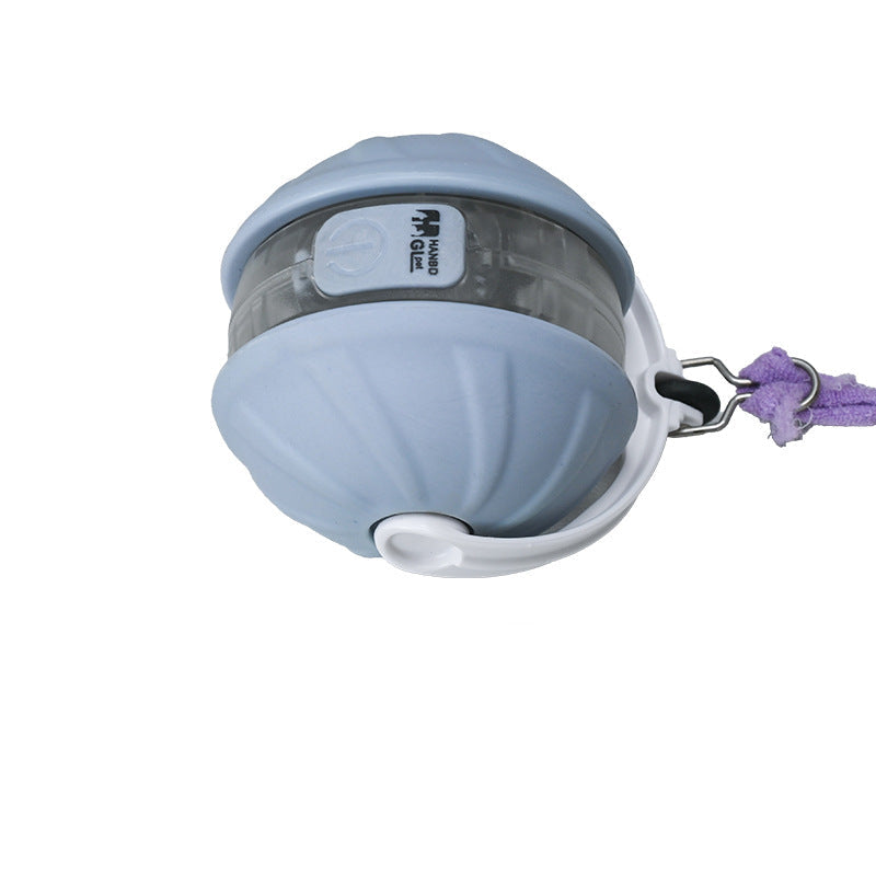 Interaktiver Katzen Laser Spielball