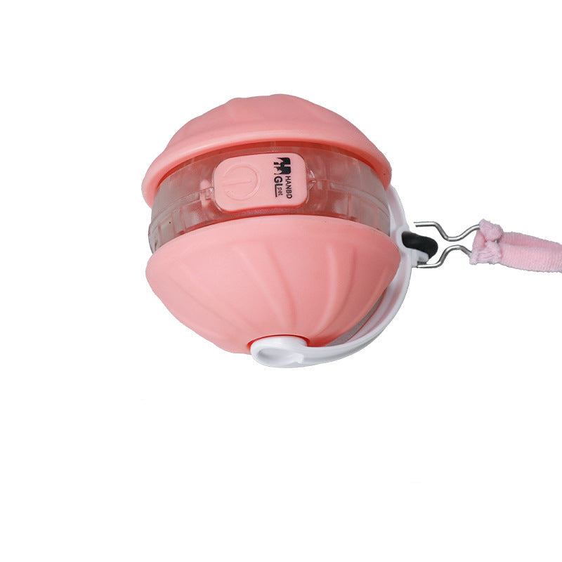 Interaktiver Katzen Laser Spielball