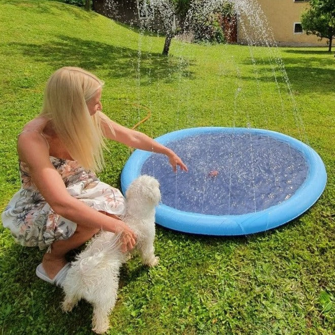 Erfrischende Hundesprinkleranlage