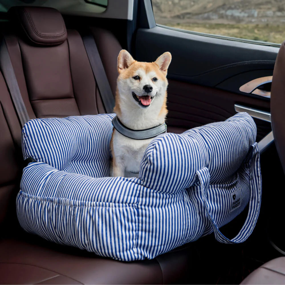 Bequemes 2-in-1 Hundebett
