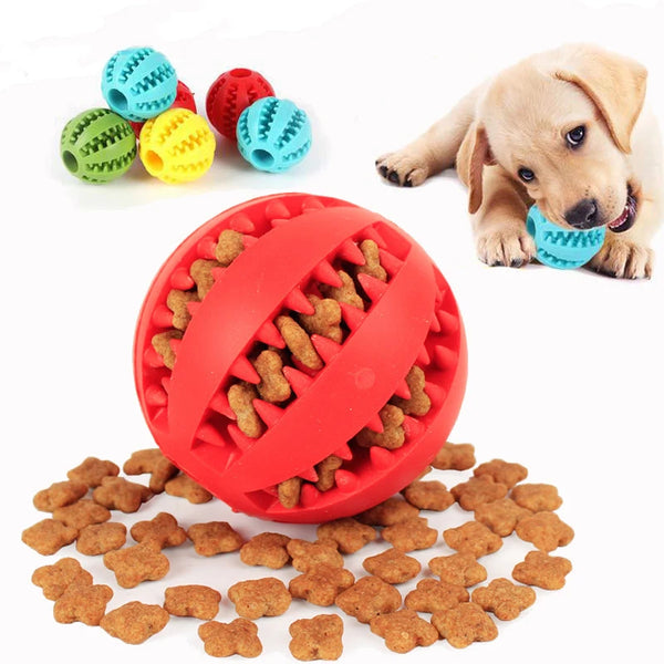 Hunde Leckerli Kauball