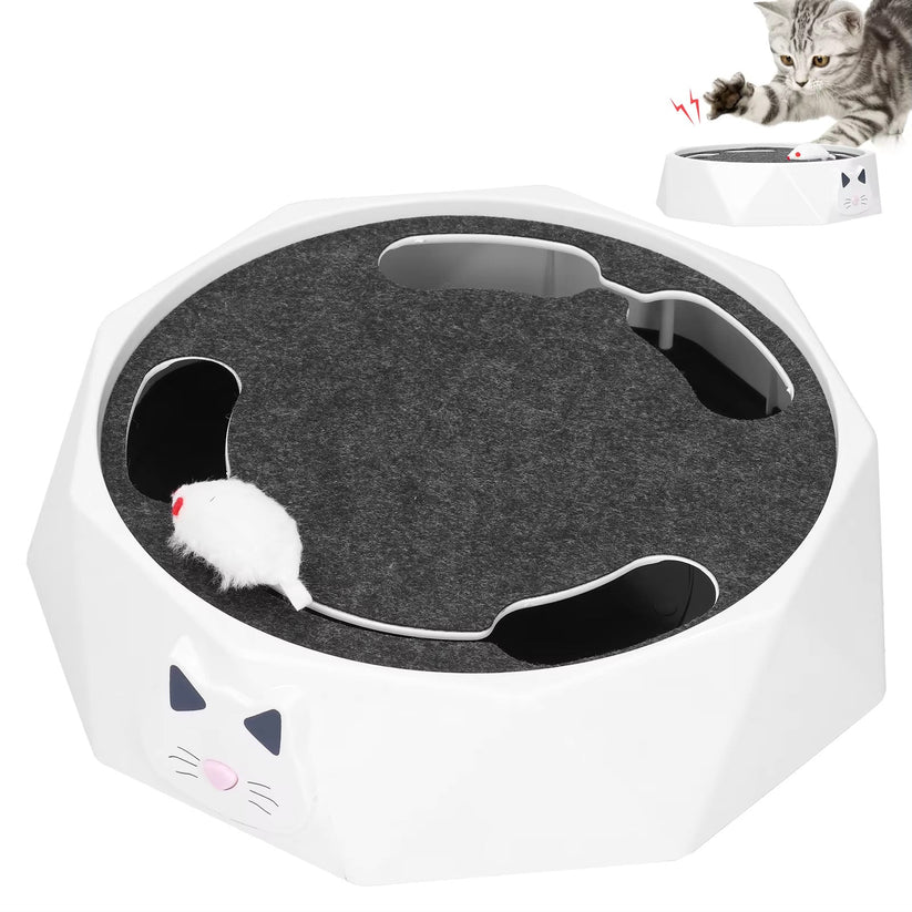 Mäuse Katzen Spielzeug