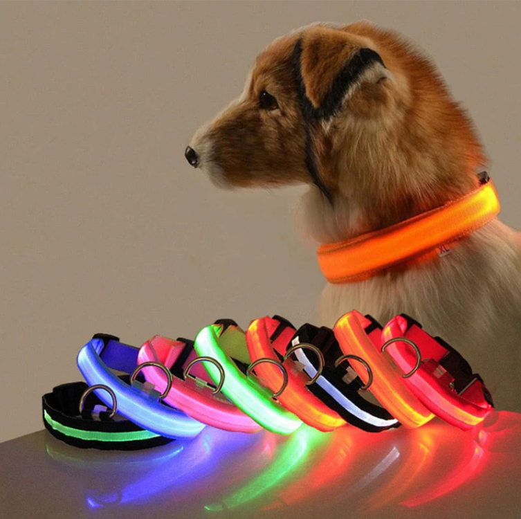 Hunde LED-Halsband