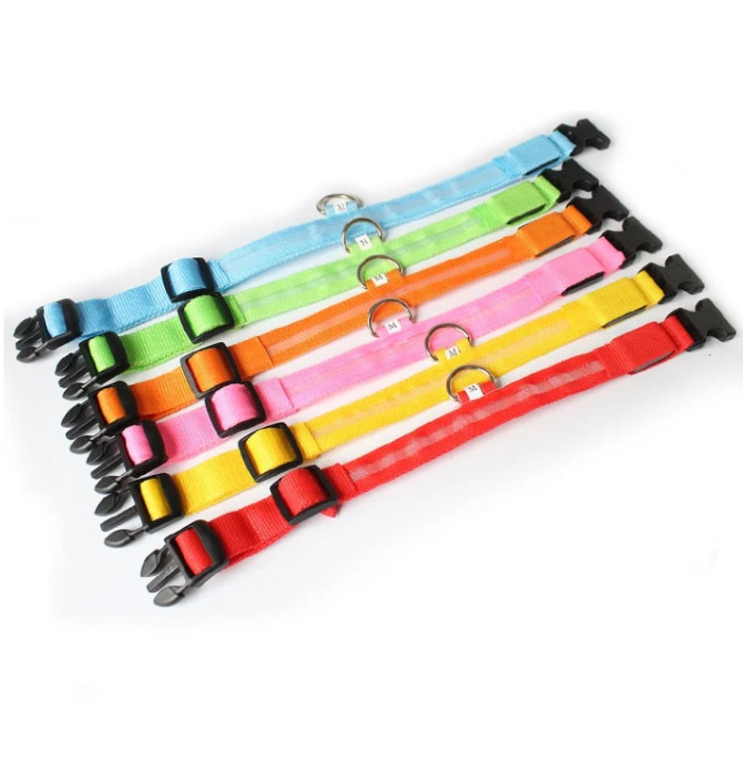 Hunde LED-Halsband