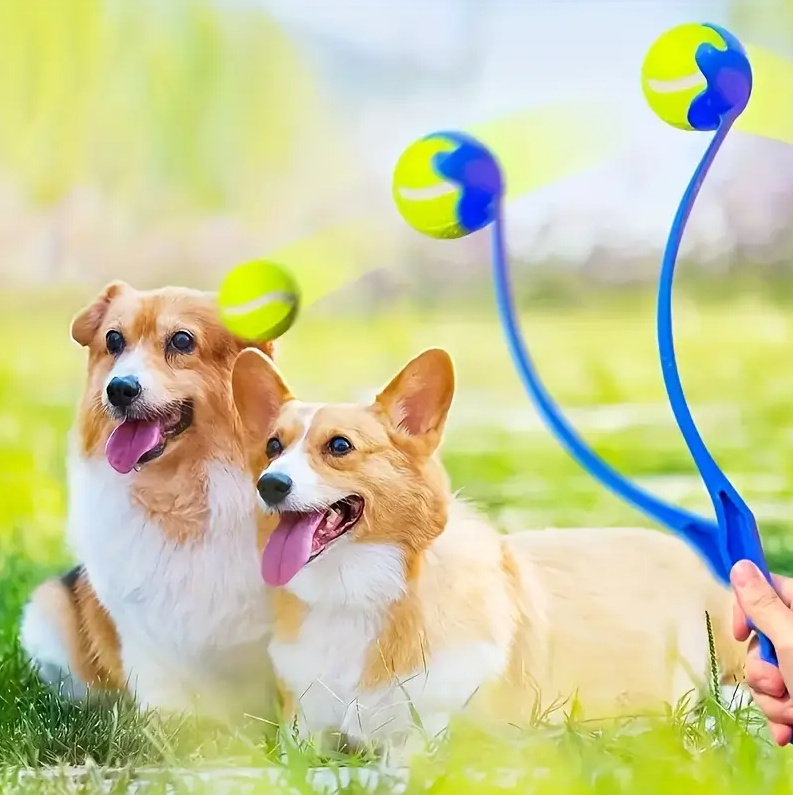 Ball Weitwurf für Hunde