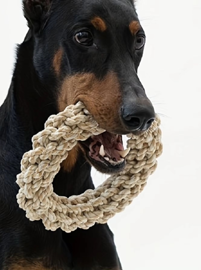 Robuster Kauring für Hunde