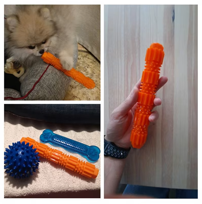 Robuster Hunde Kaustick