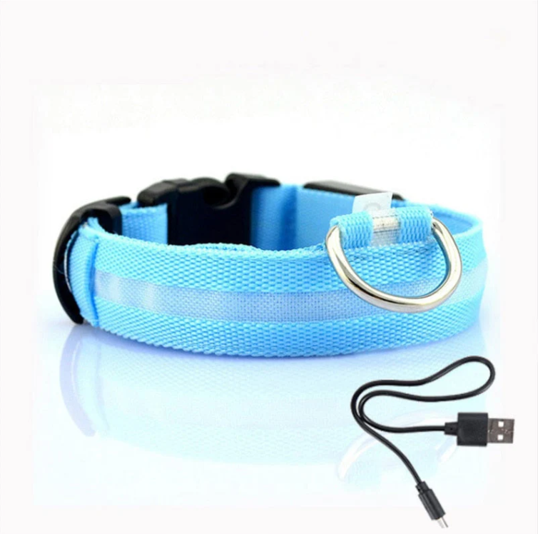Hunde LED-Halsband